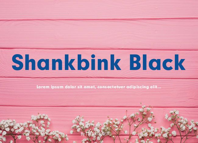 Shankbink Black example